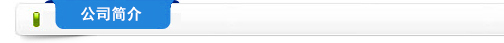 公司簡(jiǎn)介
